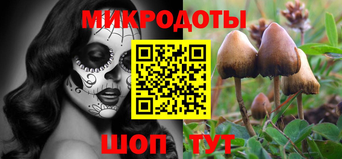 Галлюциногенные грибы Magic Shrooms  Вход с VPN  Галлюциногенные грибы GOLDEN TEACHER  Ишим 